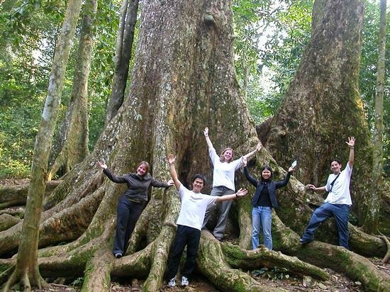 Cuc Phuong National Park Day Tour