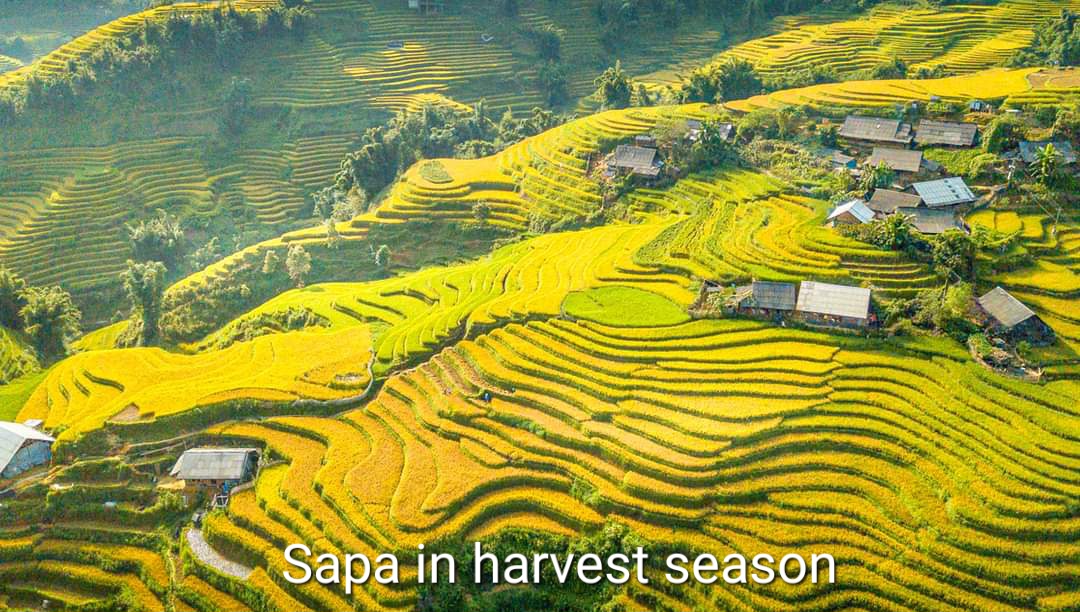 Sapa Tour 1 Day - Y Linh Ho - Lao Chai - Ta Van Village