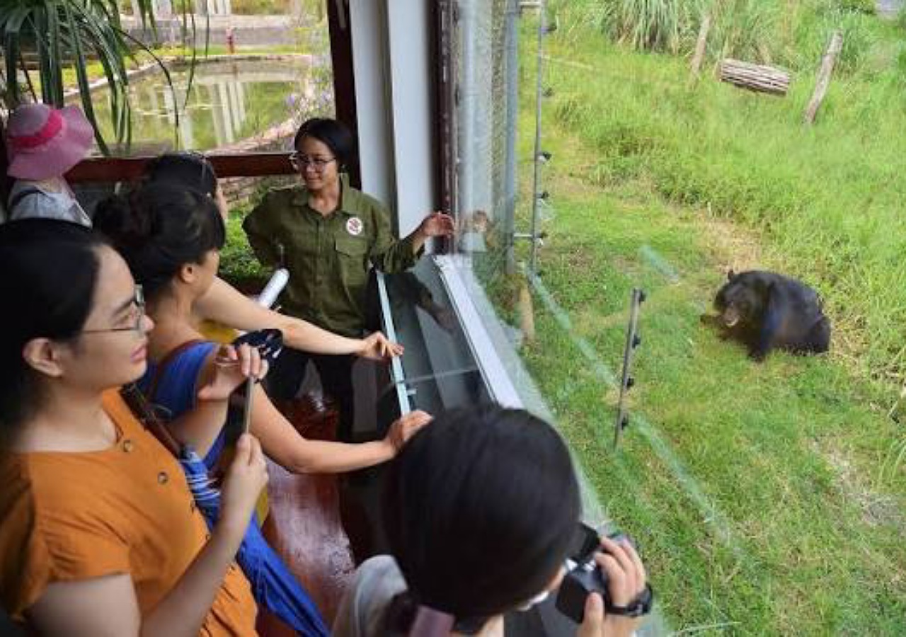 Private Ninh Binh Bear Sanctuary -Trang An- Mua Cave Day Trip